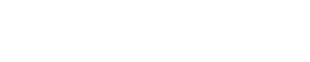 Stier Official Logo